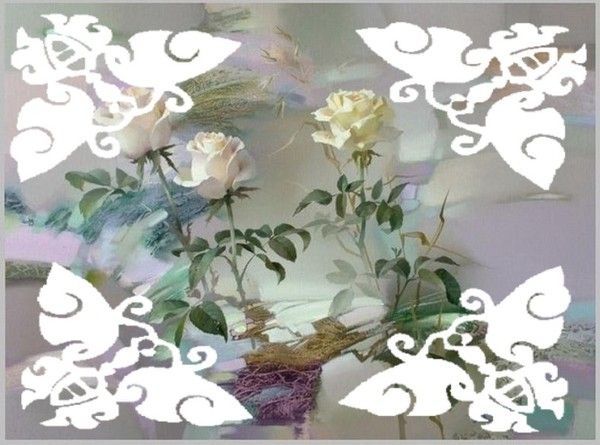 roses